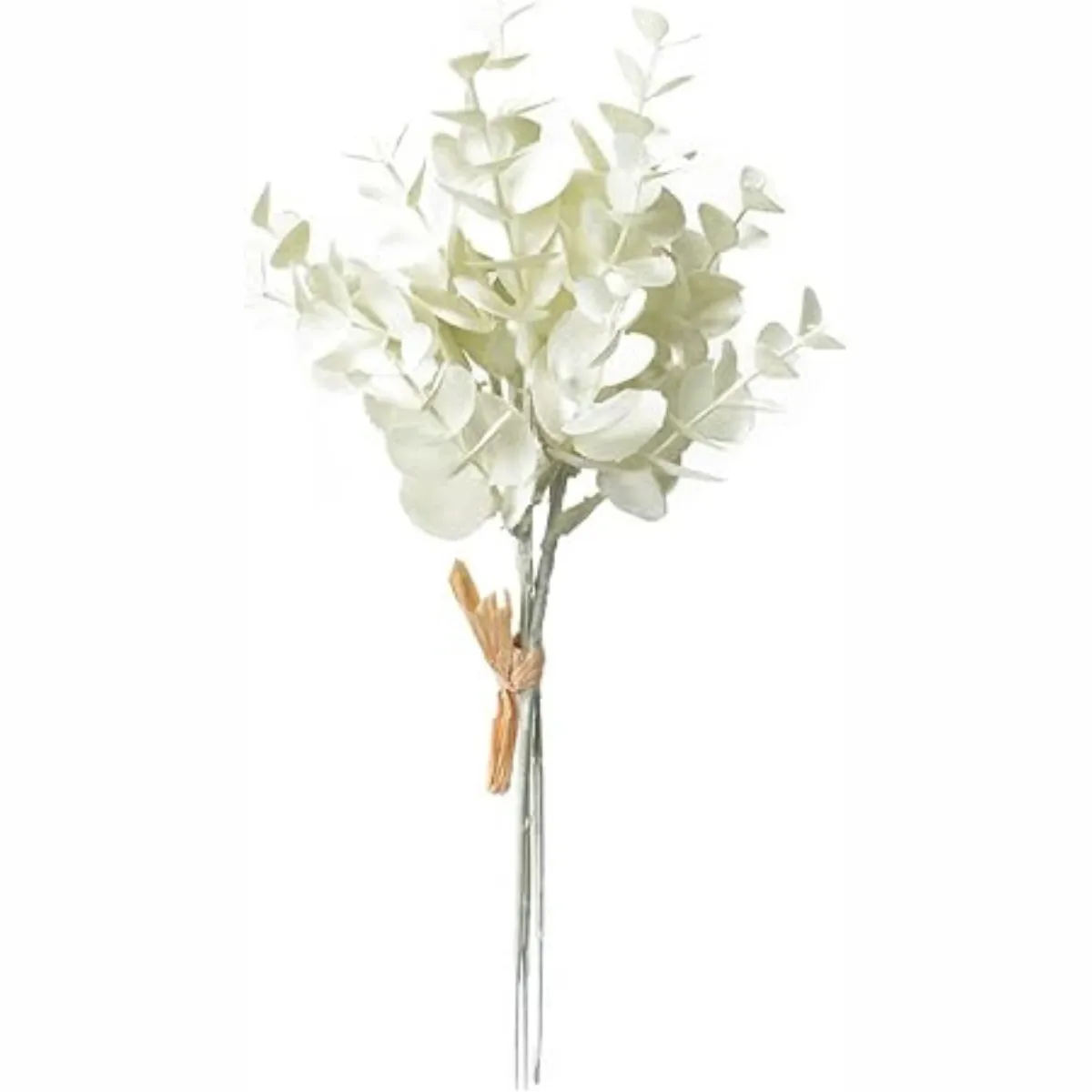 Eucalyptus Bunch