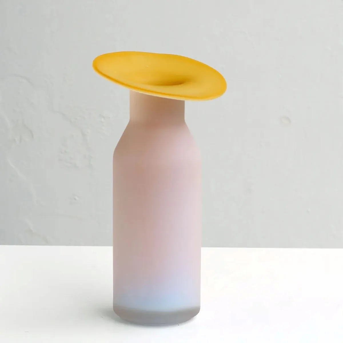 Hydroponics Terrarium Abstract vase
