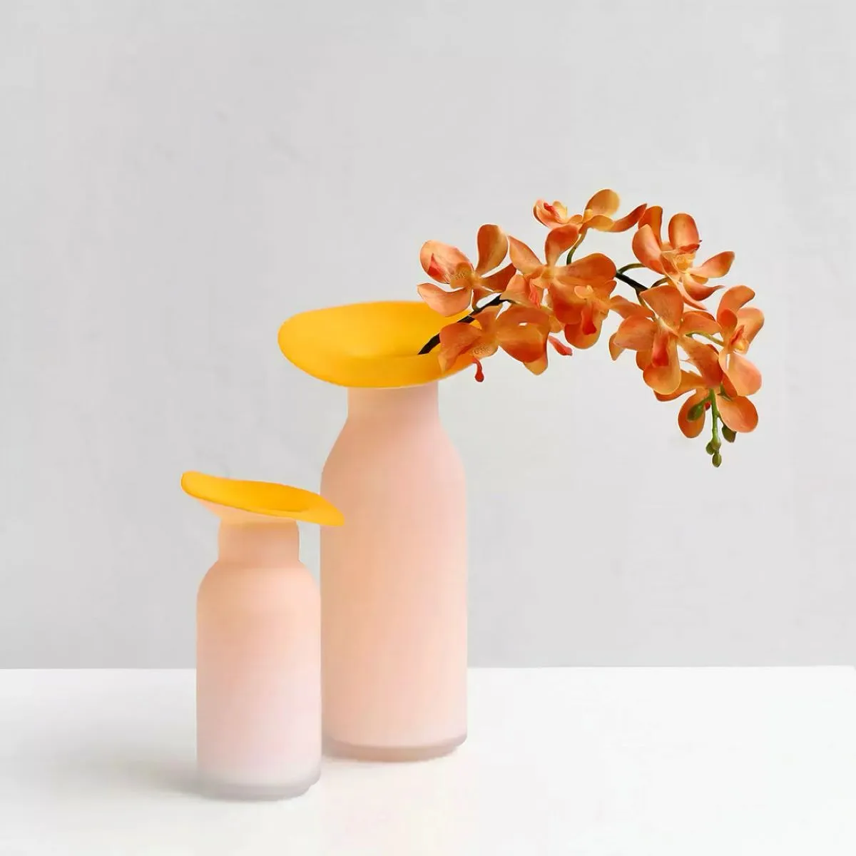 Hydroponics Terrarium Abstract vase (image 2 of 2)