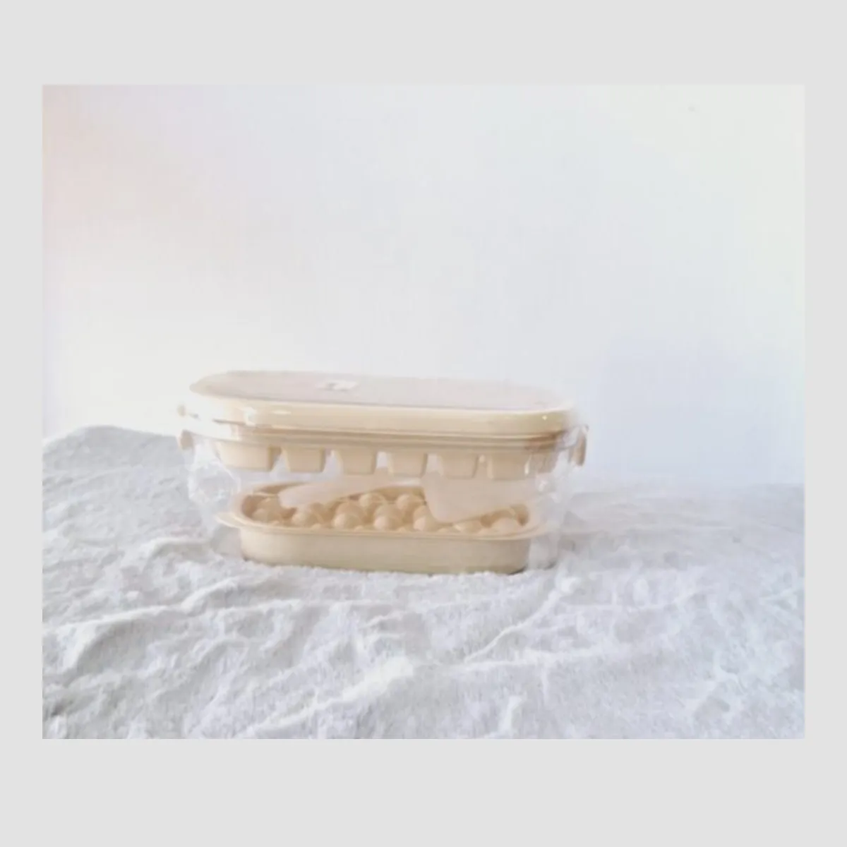 Ice Cube Tray with Lid