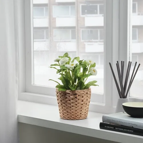 Plant pot (image 2 of 3)