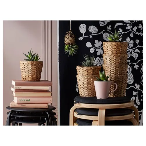 Plant pot (image 3 of 3)