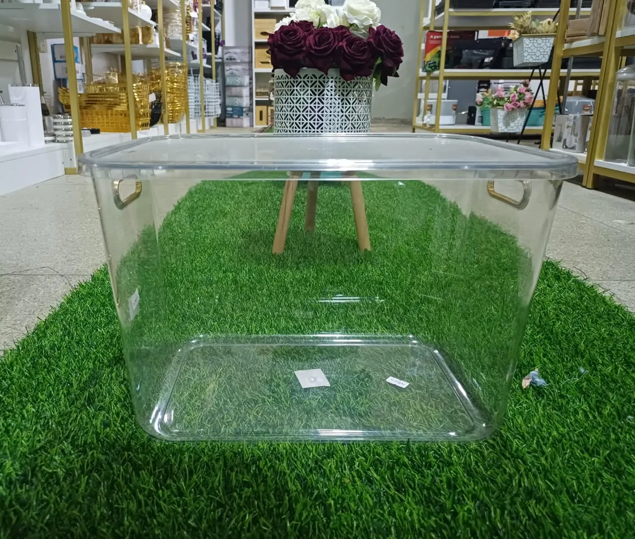 Plastic Storage Box, Clear With Dividers and