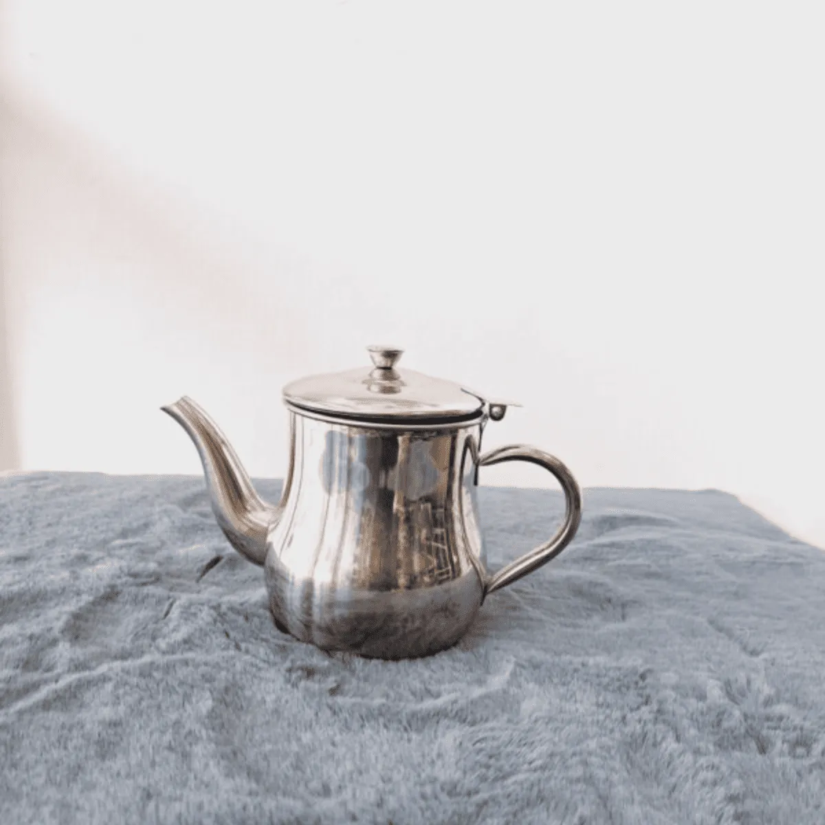Stainless Steel Tea Pot